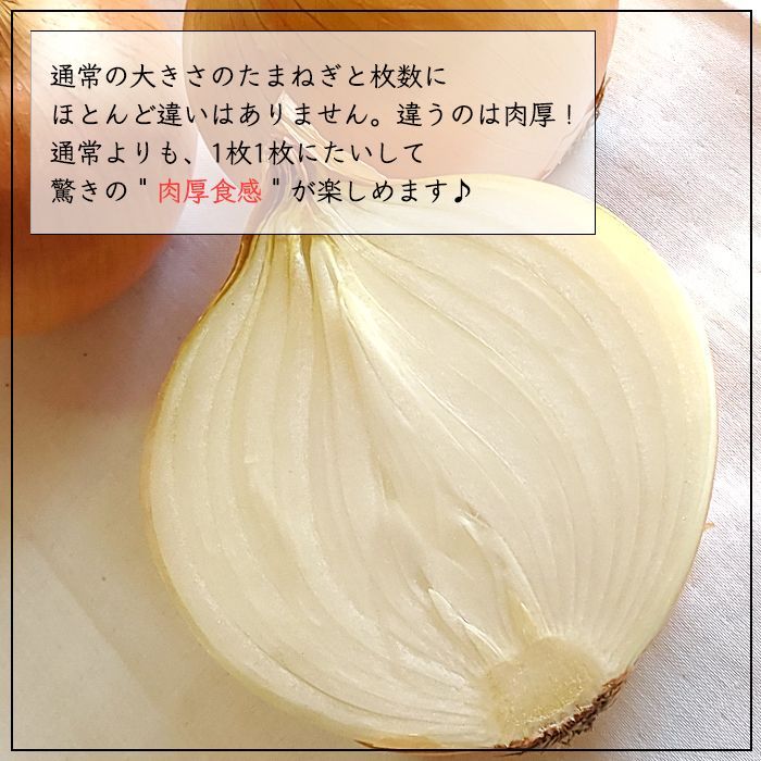 わせ品種