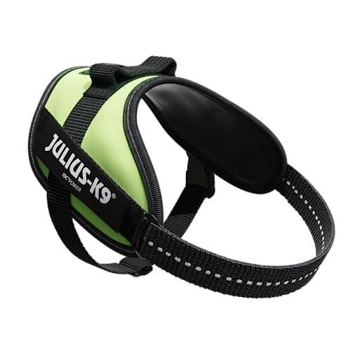 ネオングリーン