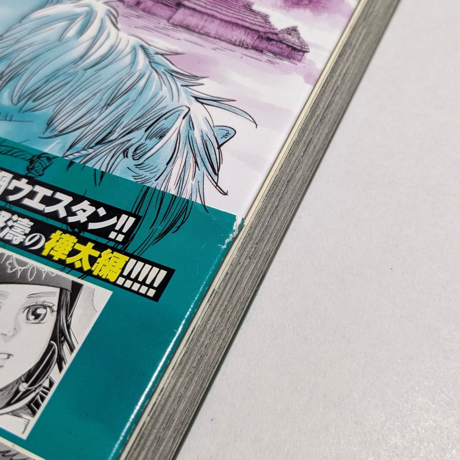 ゴールデンカムイ】1〜21巻 21冊セット まとめ売り - メルカリ