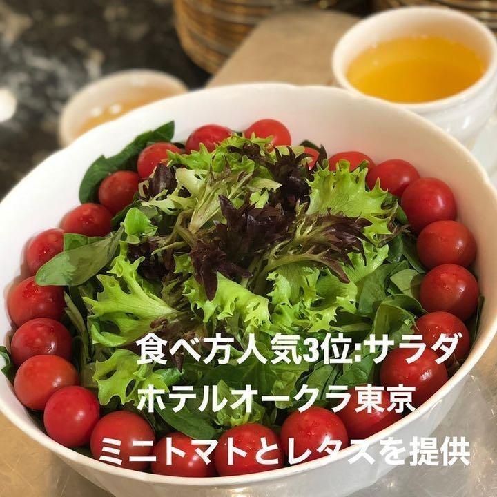 八ヶ岳産 リピトマト 約20kg 貴社のリピーター顧客と売上増が期待 