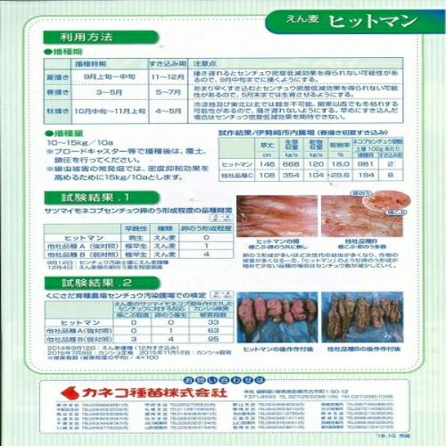 カネコ種苗 緑肥 エンバク ヒットマン 10kg