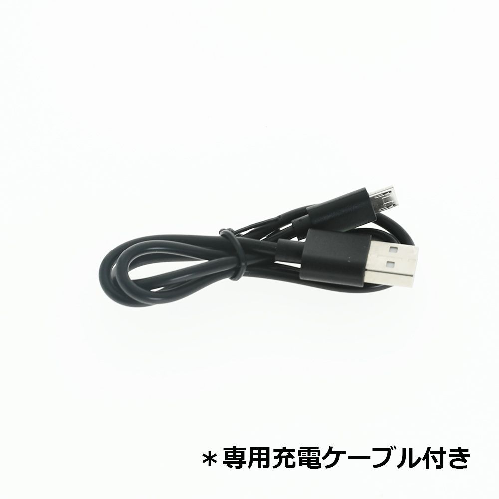 Sony NP-BX1 DSC-WX300 DSC-WX350 USB 充電器
