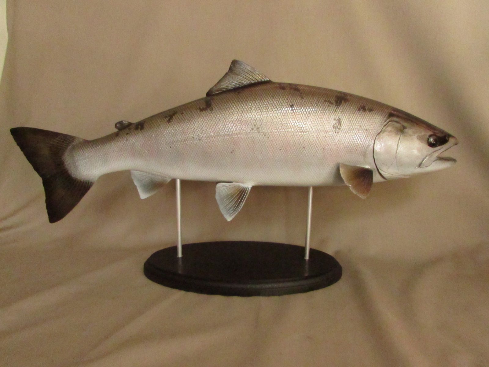ハンドメイド 64cmサクラマス 桜鱒 魚 釣り フィギュア 魚模型