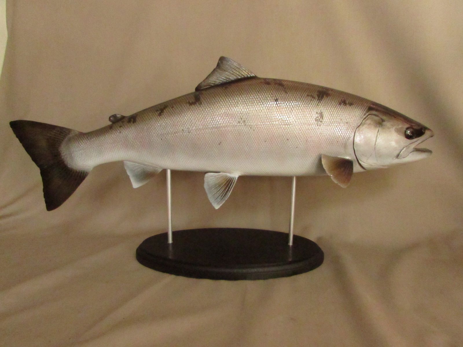 ハンドメイド 64cmサクラマス 桜鱒 釣り フィギュア 魚模型