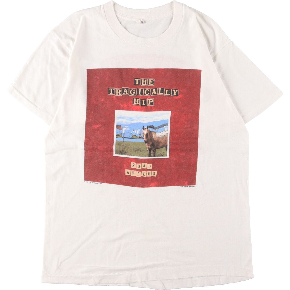 古着 90年代 フルーツオブザルーム FRUIT OF T HE LOOM THE TRAGICALLY 