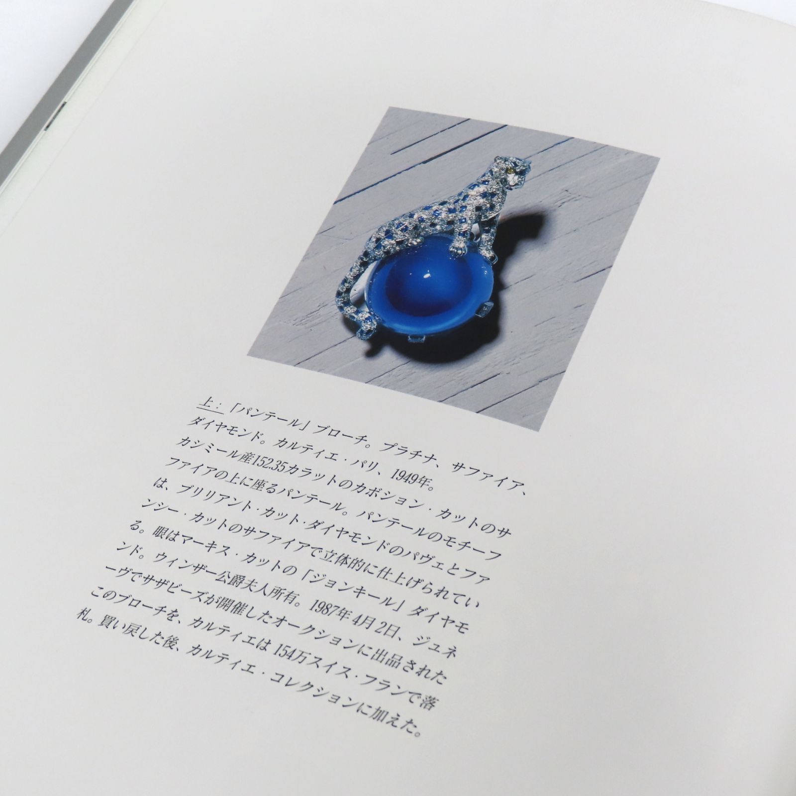 CARTIER カルティエ プラチナの芸術家 カルティエ プラチナの芸術家 - ノースブックセンター
