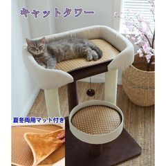 多頭飼い