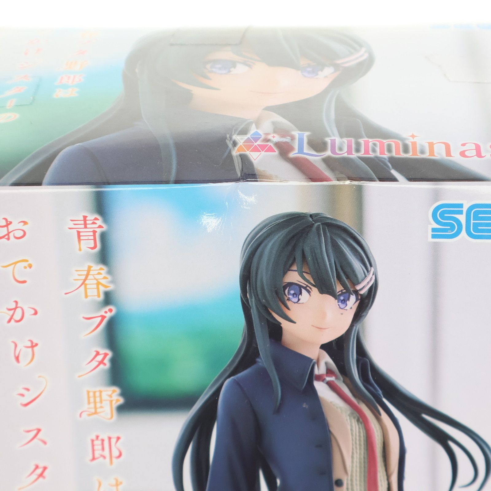 桜島麻衣(さくらじままい) 青春ブタ野郎はおでかけシスターの夢を見 