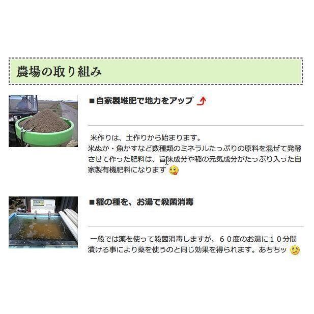 令和6年 化学肥料不使用 加須産 ミルキークイーン 玄米 1等 30kg 精米無料 2等