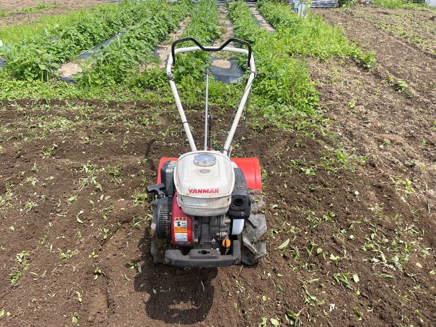 耕うん機 管理機