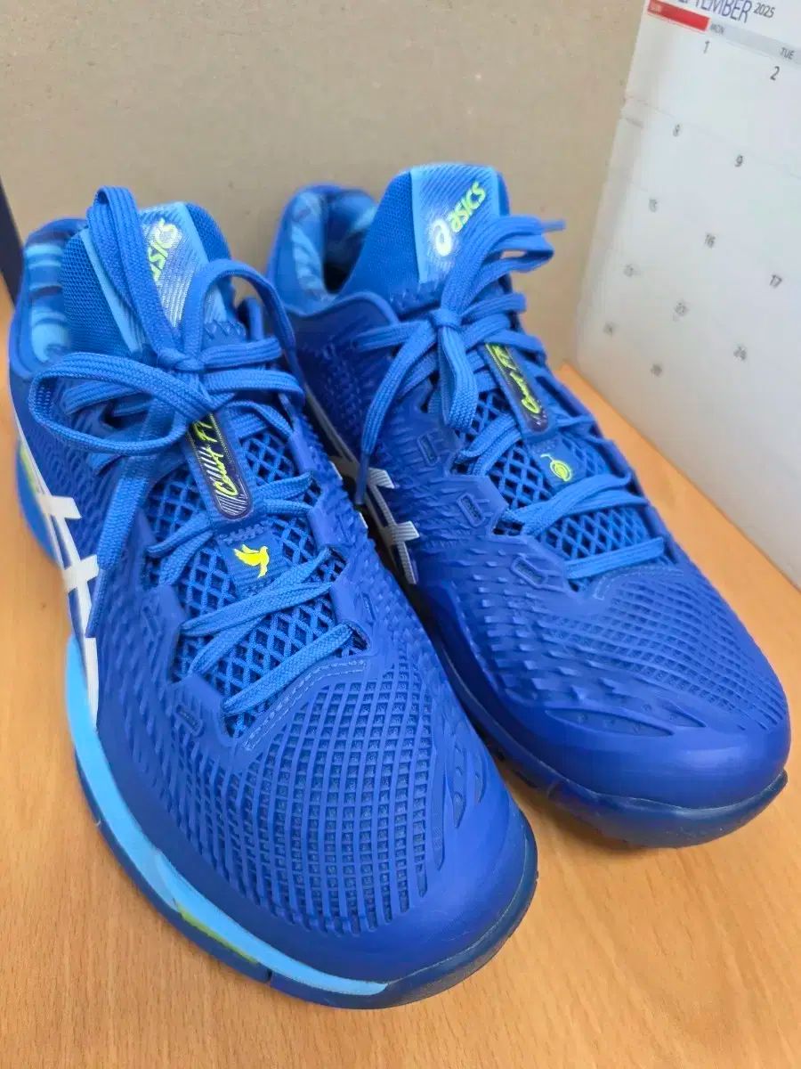 Asics アシックス ノバック FF3 テニスシューズ サイズ 270
