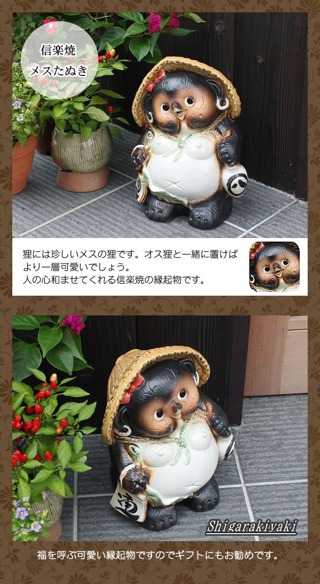 信楽焼 家族仲良しタヌキ /陶器 縁起物 たぬき 置物 未使用品 Amazon.co.jp: 信楽焼 家族仲良し狸 しがらきハンカチパッケージ