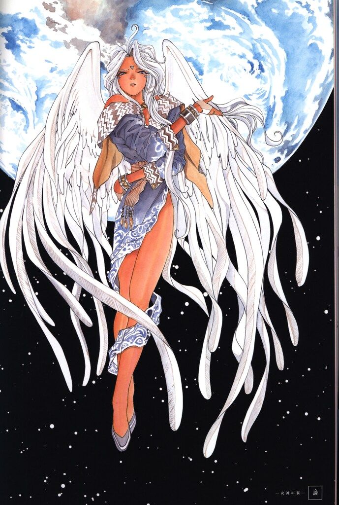 ✨新品未開封✨　豪華版　藤島康介　画集「ああっ女神さまっ」1998-2008 藤島康介画集: 「ああっ女神さまっ」1988-2008 | 藤島 康介 |本 | 通販