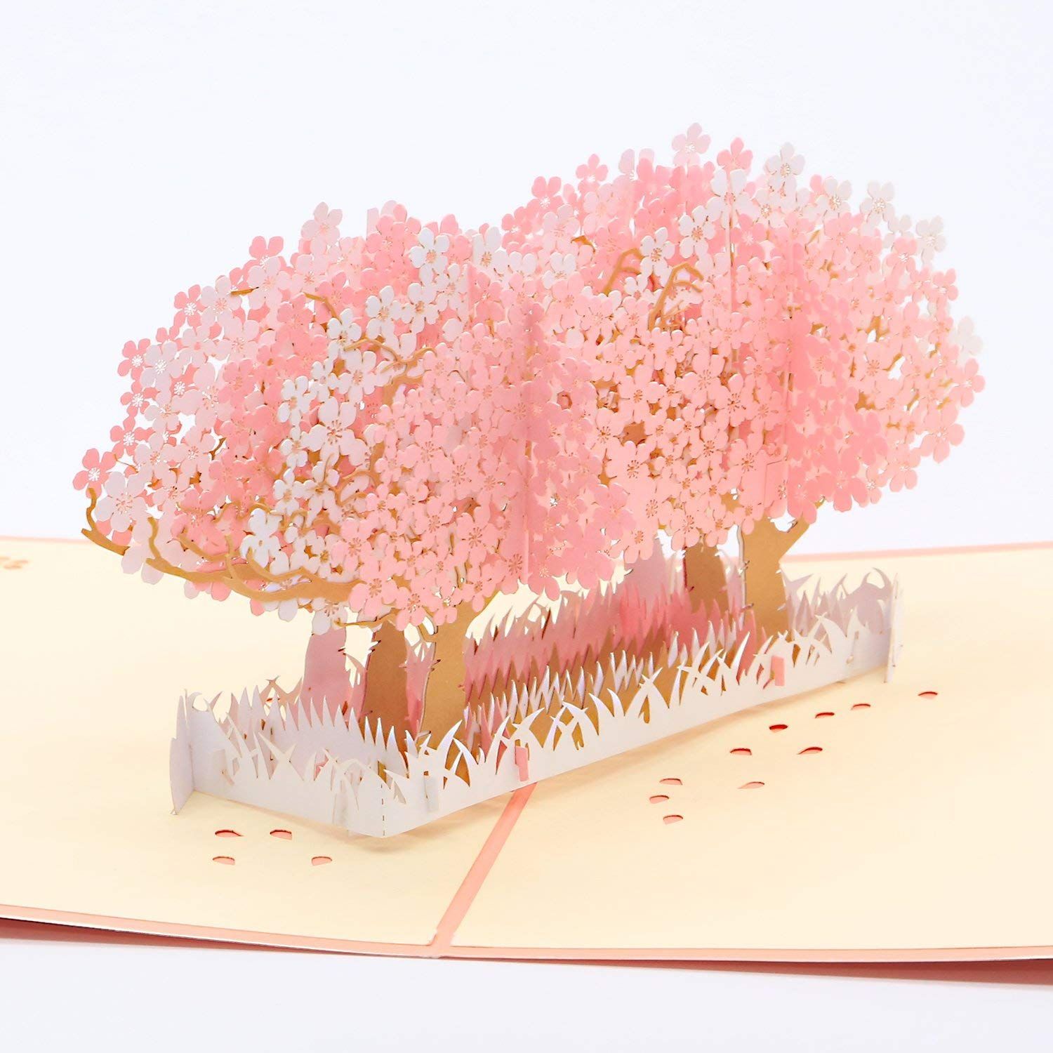 数量 飛び出す 感謝状 ポップアップカード 封筒付き カード メッセージカード 桜のグリーティングカード