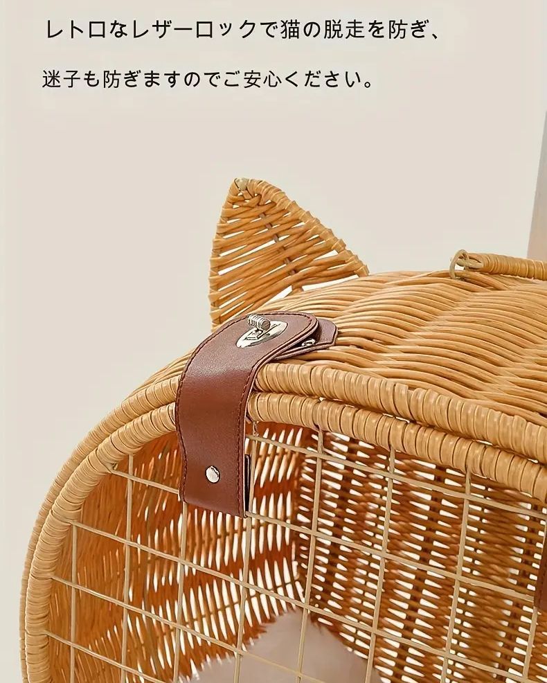 茶色 ネコ
