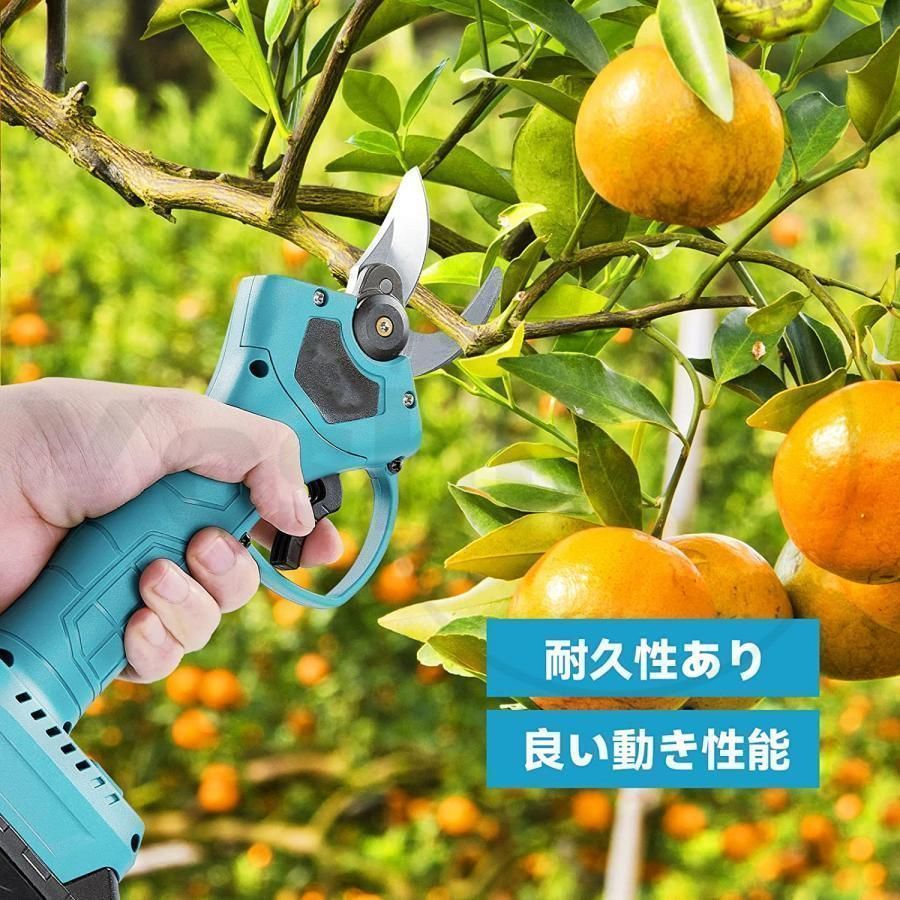 庭木 枝切り