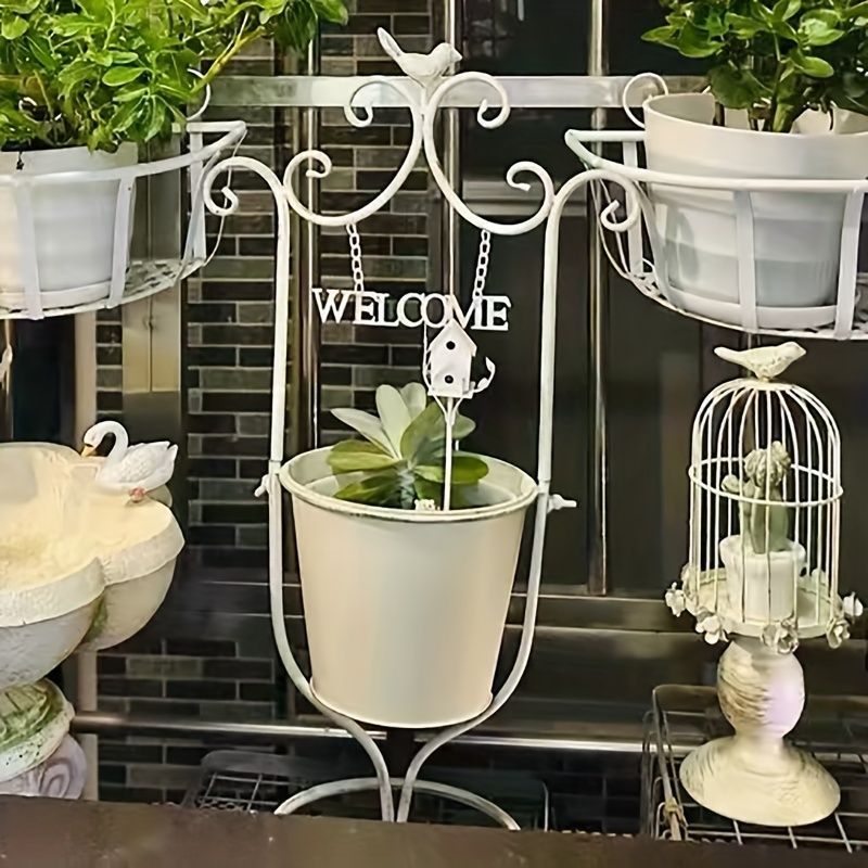 86. 多肉植物 ラウリンゼ×ミニマ 680円【抜き苗】 ラウリンゼ