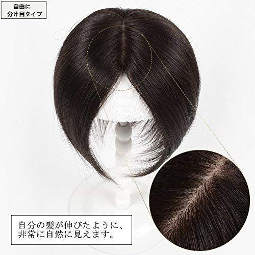 AISIHAIR ヘアピース ポイントウィッグ ロング 白髪隠れ 付け毛 医療用ウィッグ モノスキン 通気 脱毛隠し ステルス総手植え … ポイントウィッグ ロング ヘアピース 白髪隠れ 付け毛 医療用ウィッグ