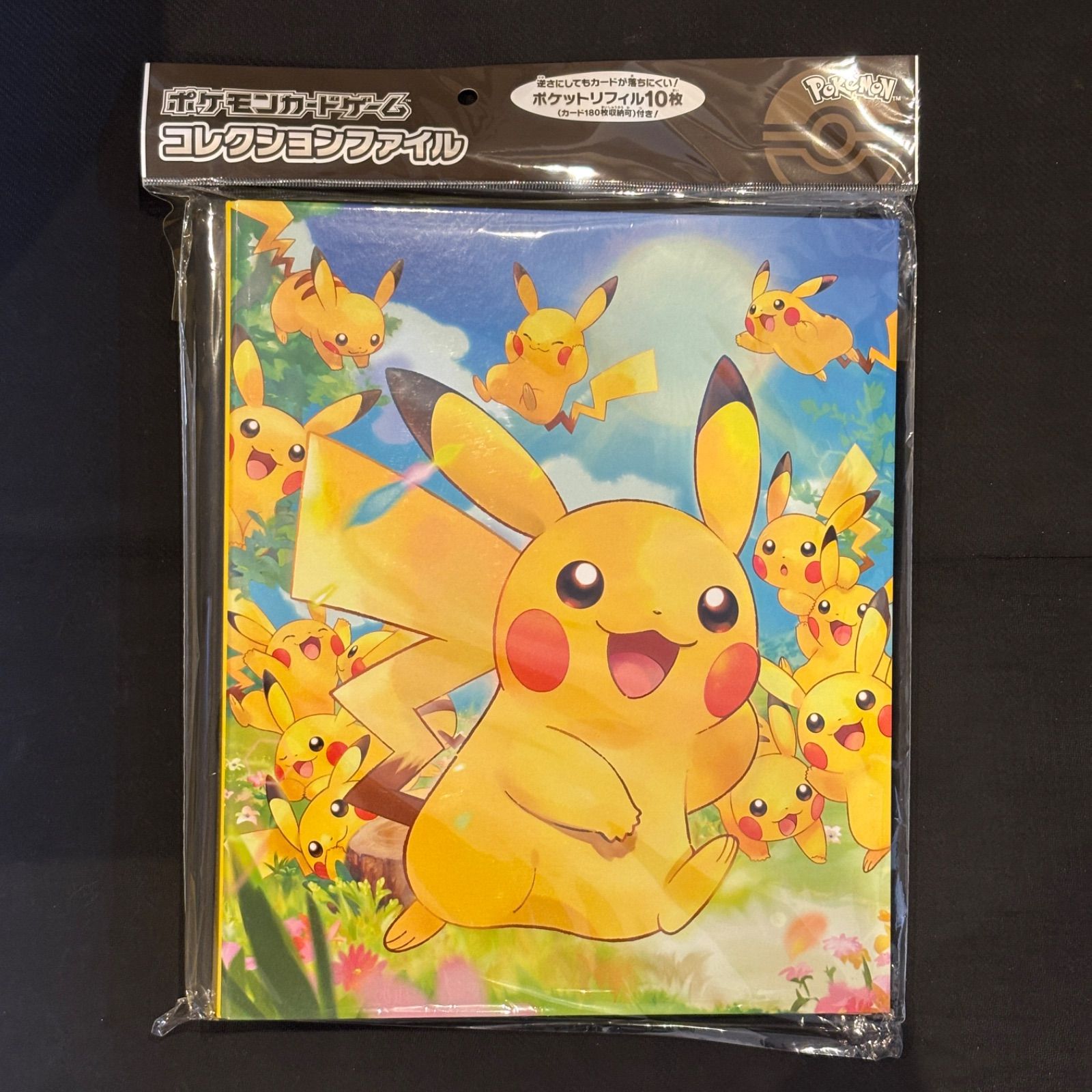 新品未開封 ピカチュウ大集合 コレクションファイル ラバー 新品未開封 ピカチュウ大集合 コレクションファイル ラバー