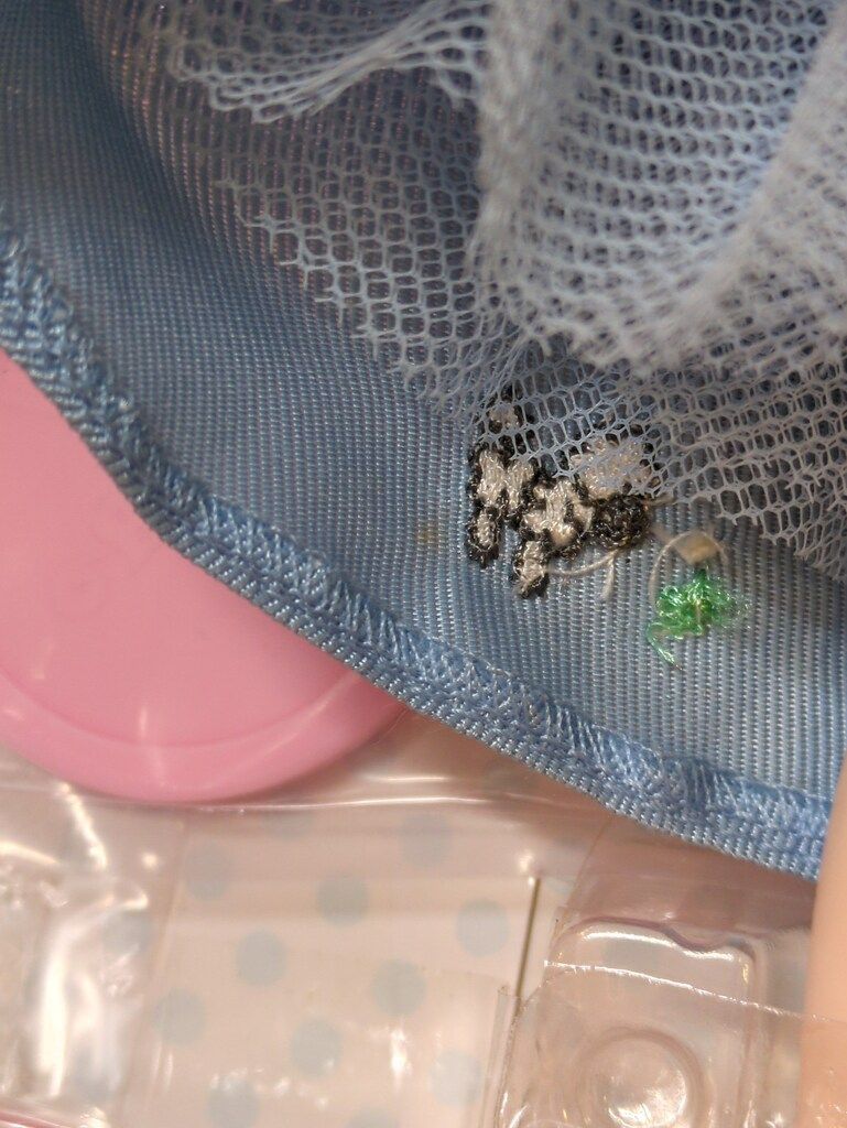 タカラ