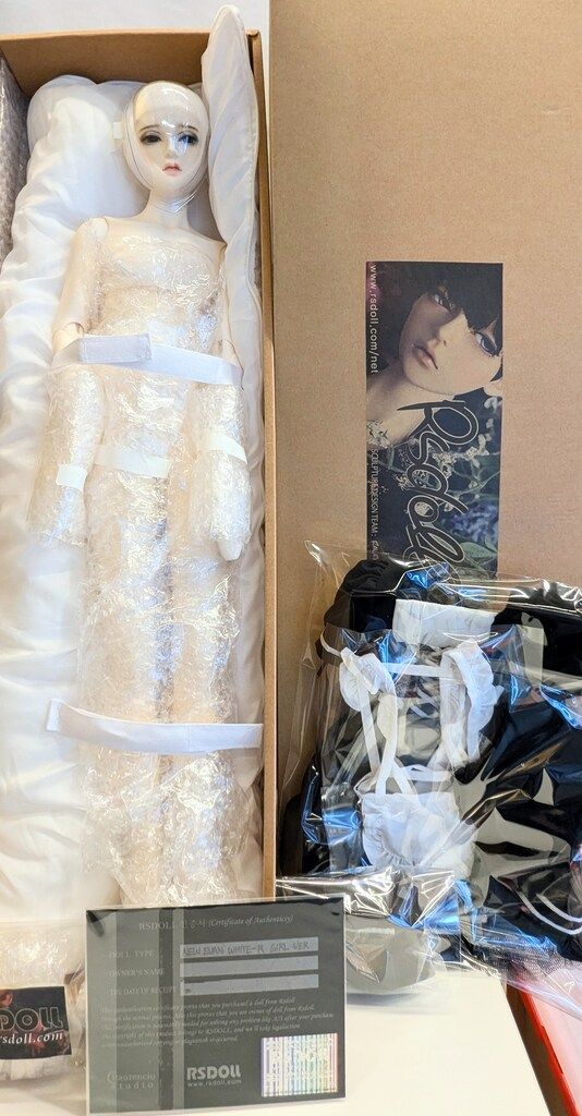 RS DOLL RG LINE NEW EVAN girl ver.