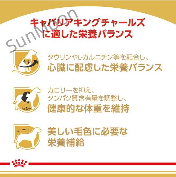 ロイヤルカナン ブリード
