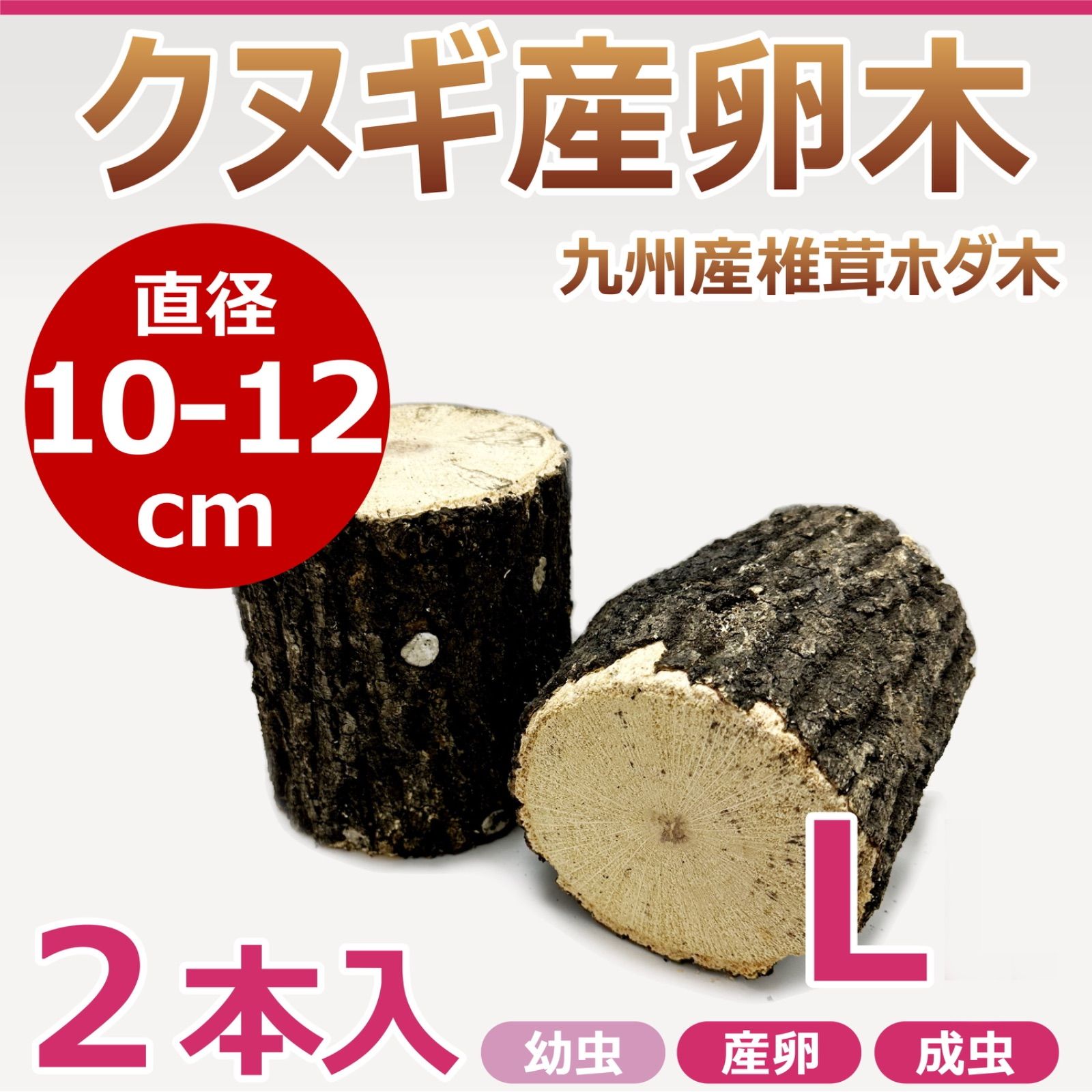 １０本！ Ｌ×５本 Ｍ×５本 クヌギ 土埋め レイシ 霊芝 産卵材 柔らか仕上げ 10本！ L×5本 M×5本 クヌギ 土埋め レイシ 霊芝