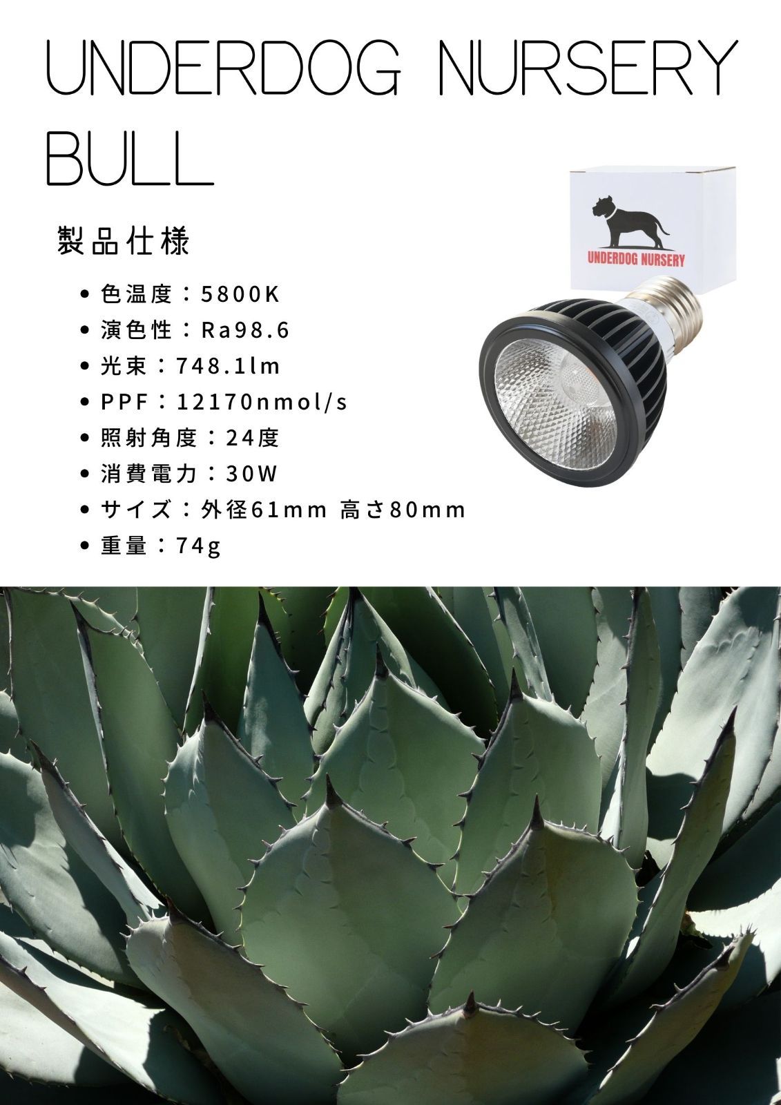 新品アウトレット 植物育成ライト 10W 5800K 5個 白色0808 植物育成ライト 10W 5800K 5個 白色 太陽光 フルスペクトルLE