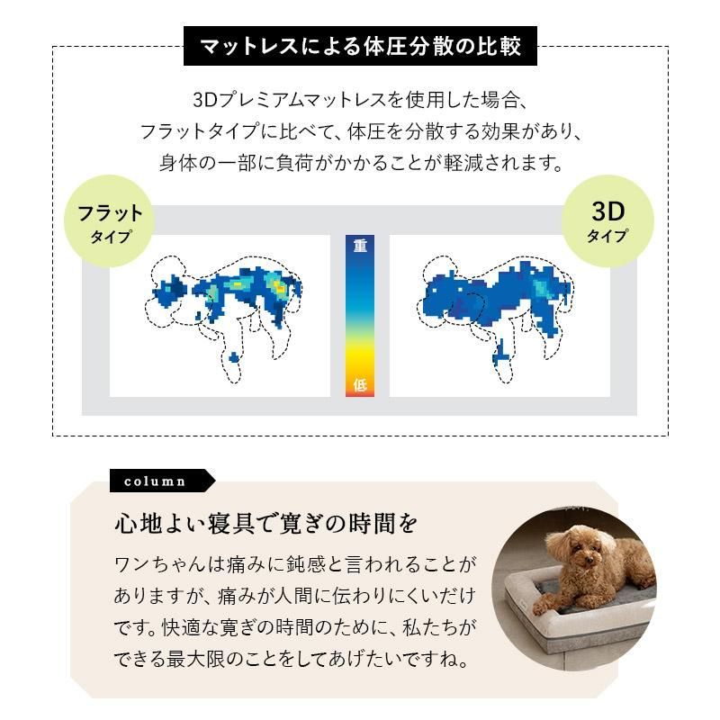 3D構造