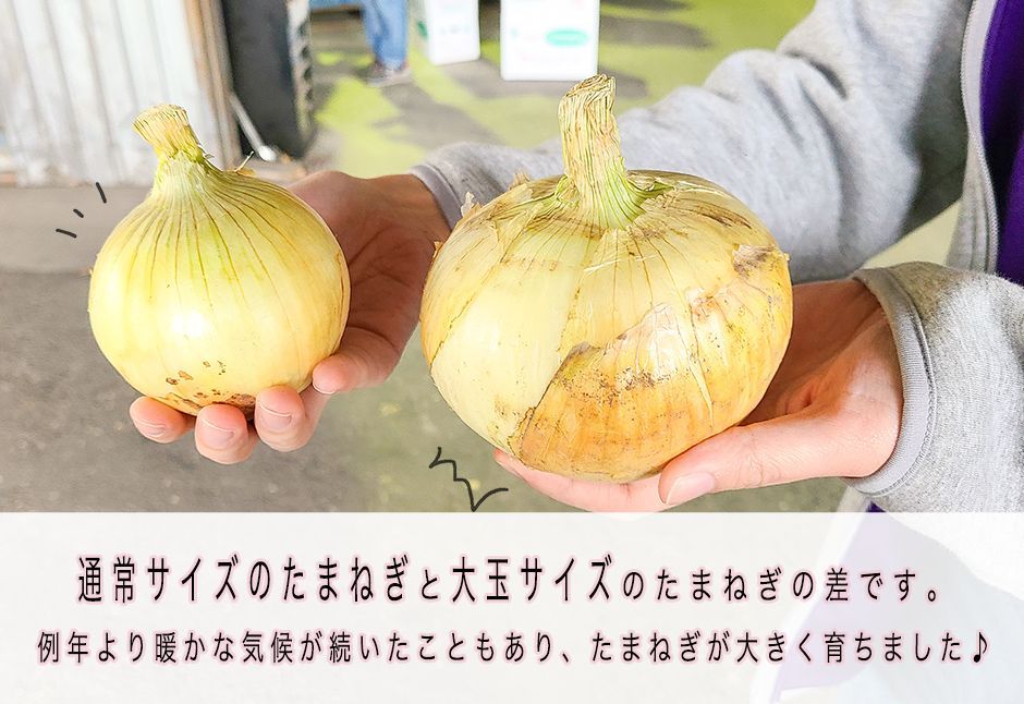特別栽培