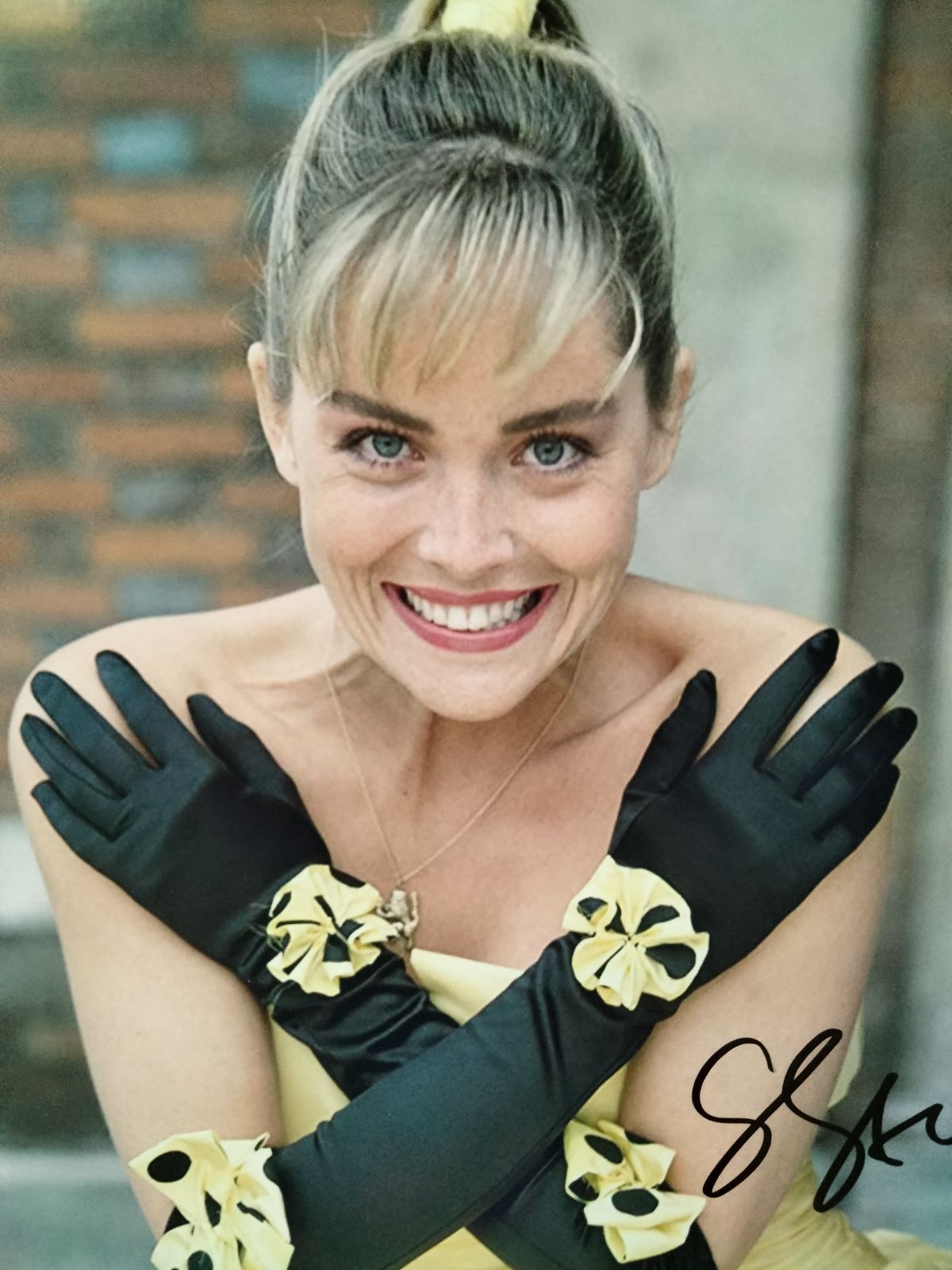 シャロン・ストーン直筆サイン入り特大写真…氷の微笑…Sharon Stone…