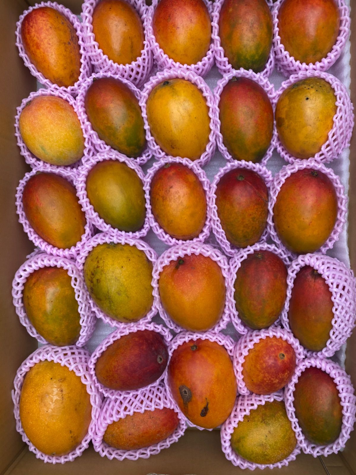 加工用 黒点あり キズあり 宮崎 完熟 マンゴー 果物 27玉 9.1k 理解ある方のみ