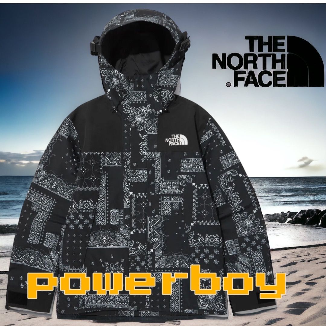 THE NORTH FACE ノースフェイス 海外限定 日本未発売 マウンテンthe