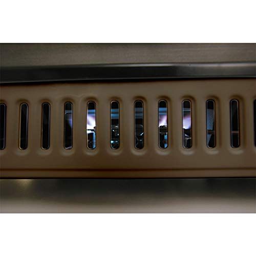 ヤキジョウズサン ブラウン