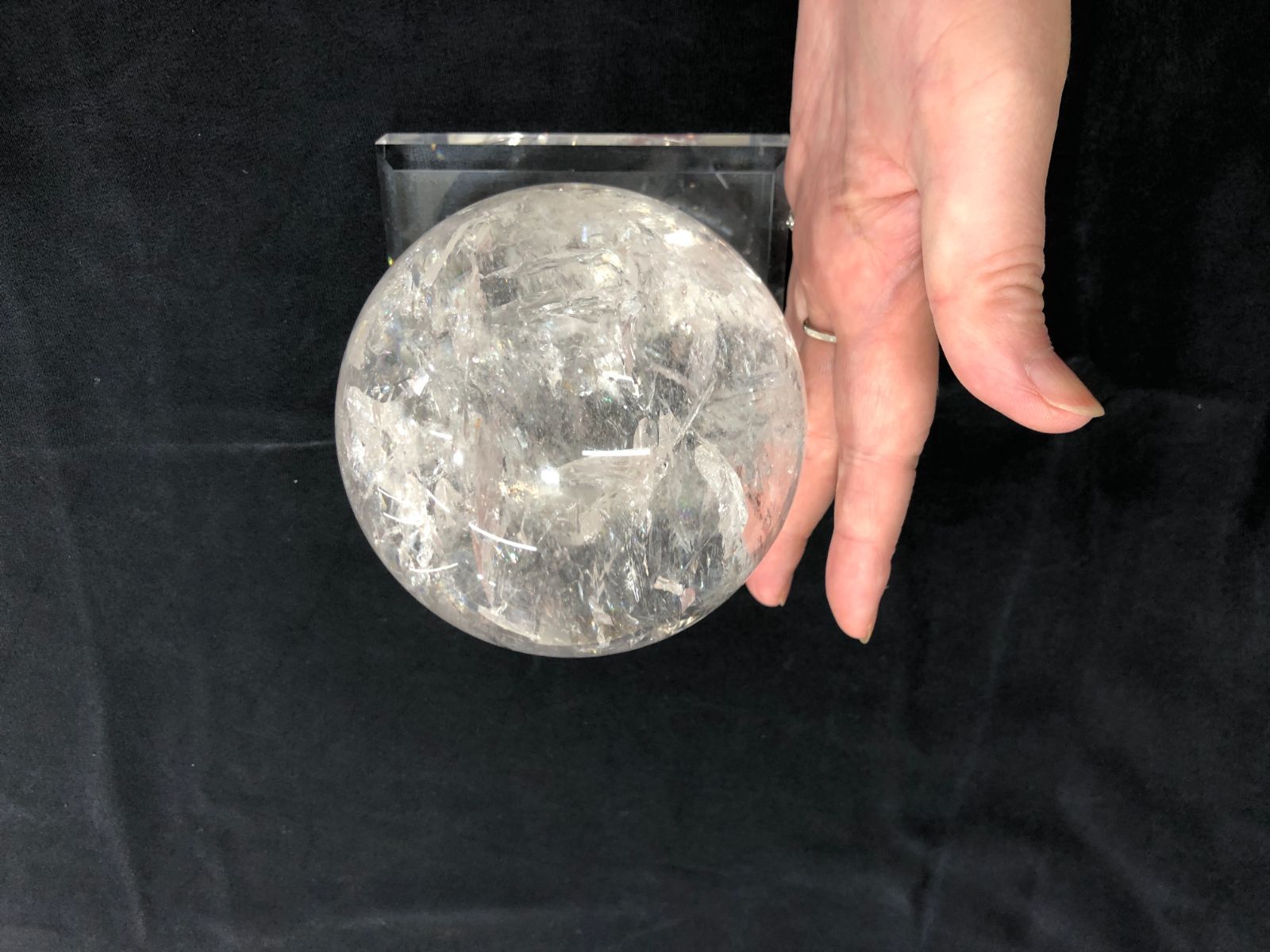 コリント産 100㎜