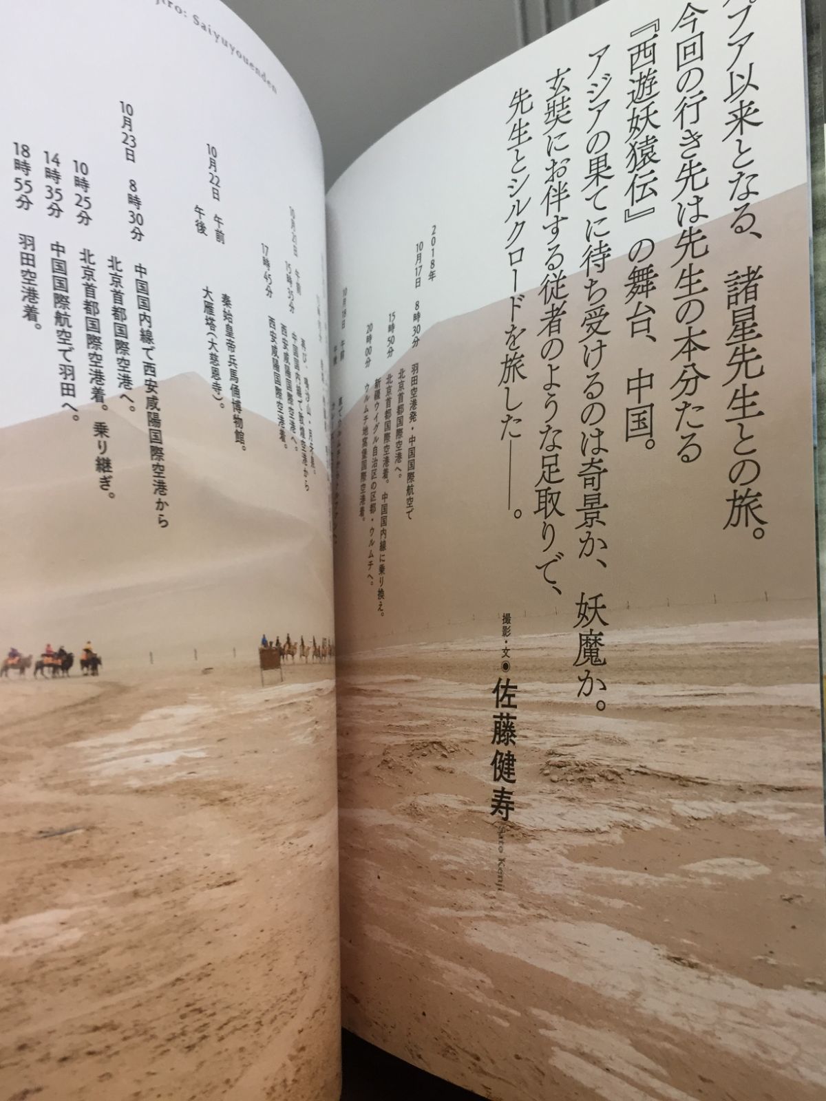 世界伝奇行 ―中国・西遊妖猿伝編― 【初回限定特典・折り込みピンナップ付】 (伝奇行シリーズ)／諸星大二郎、佐藤健寿 世界伝奇行 ―中国・西遊妖猿伝編― 【初回限定特典・折り込み