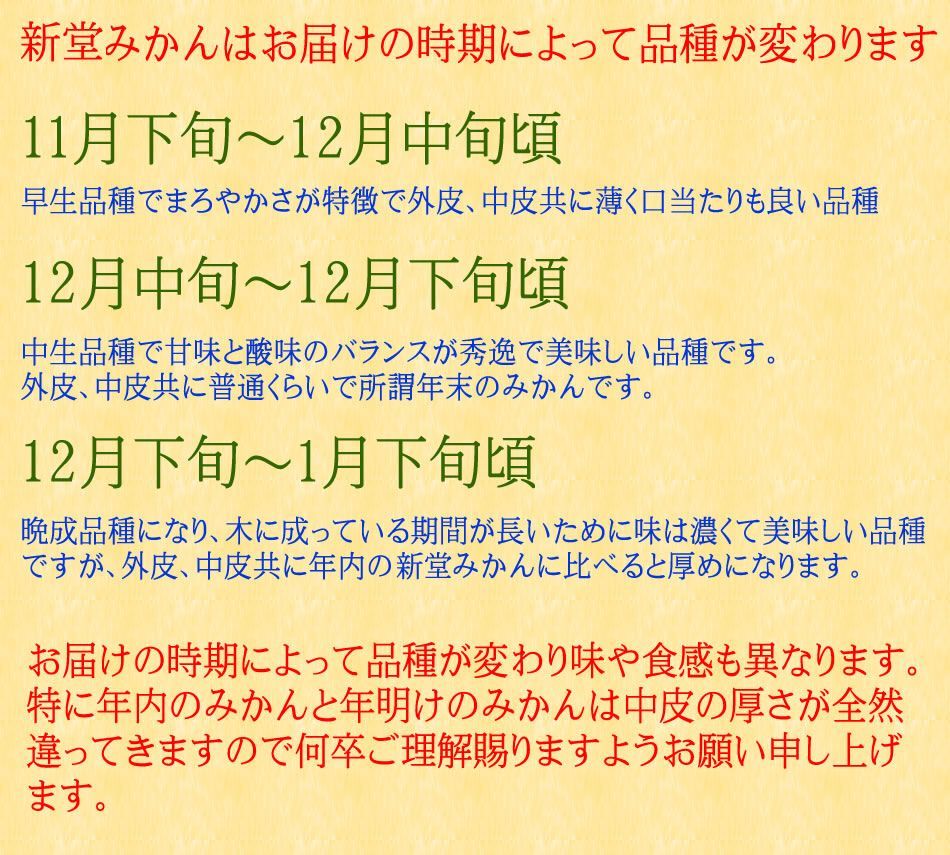 コクがあってキレのある濃い味わい♪紀州有田みかん 新堂みかんM10kg