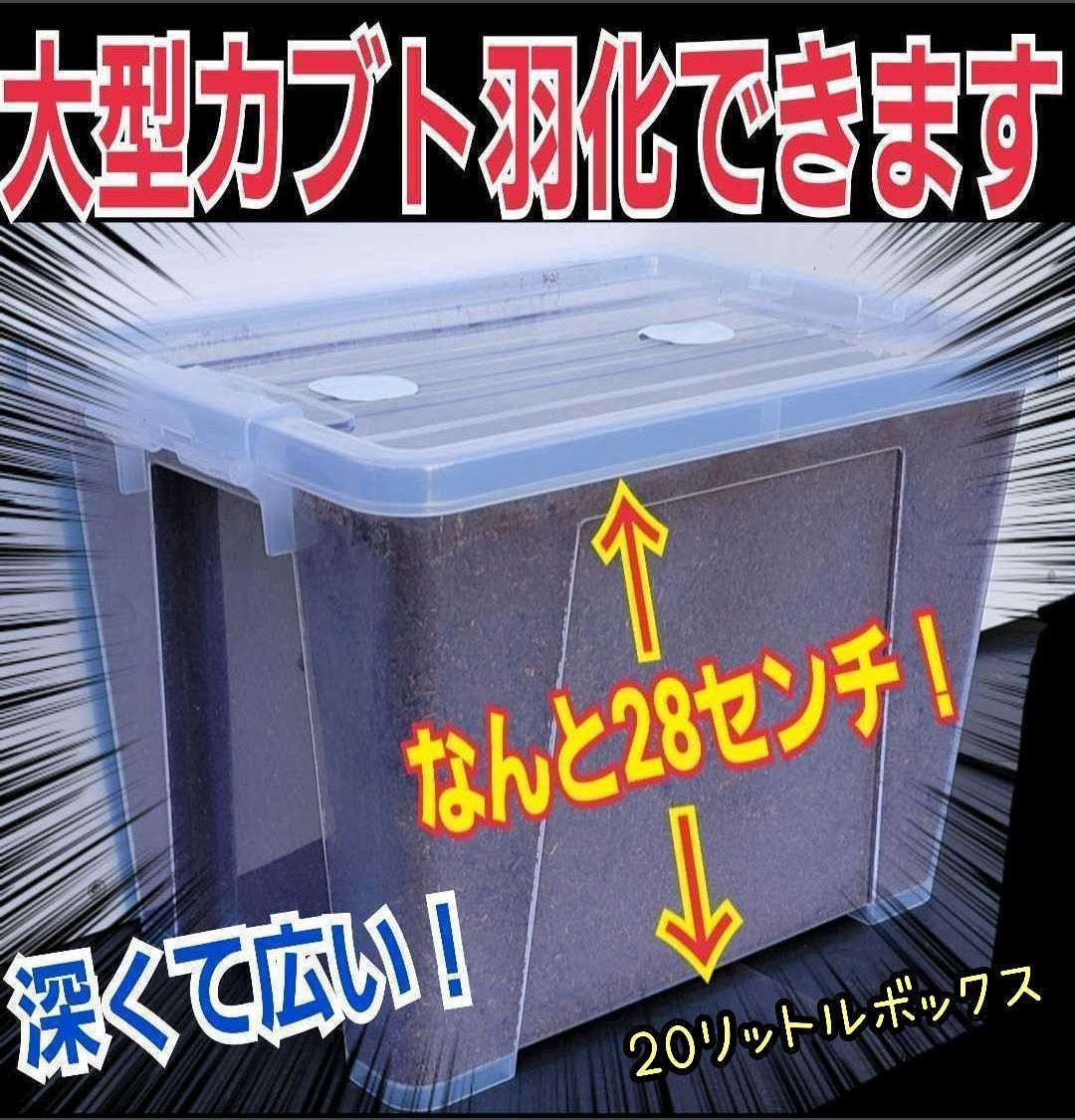カブトムシ幼虫を入れるだけ！プレミアム3次発酵マット入り　20リットルBOX カブトムシ幼虫を入れるだけ便利です！プレミアム3次発酵マット