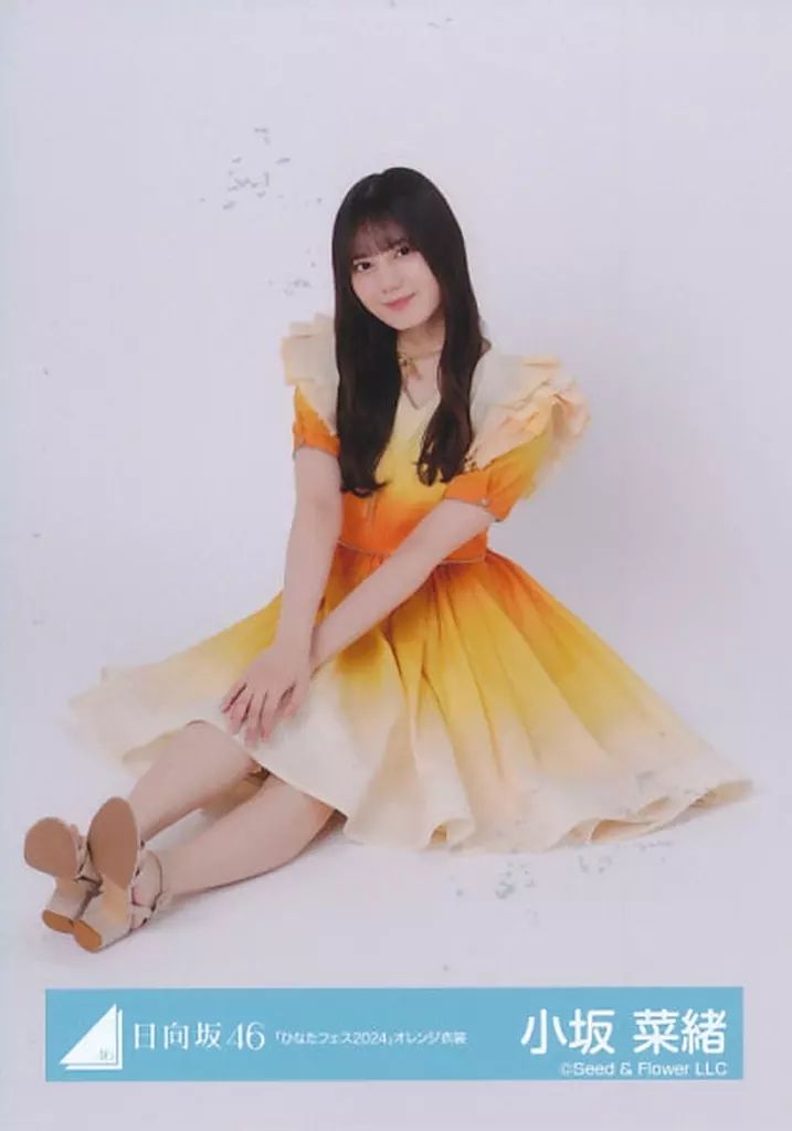 日向坂46 生写真 座り 中古】生写真(乃木坂46) 日向坂46/小坂菜緒/座り/日向坂46