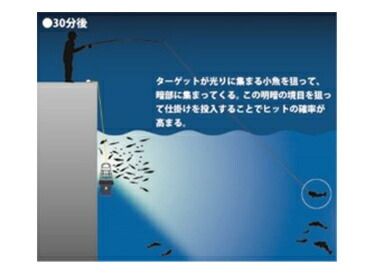 乾電池式高輝度LED水中集魚灯