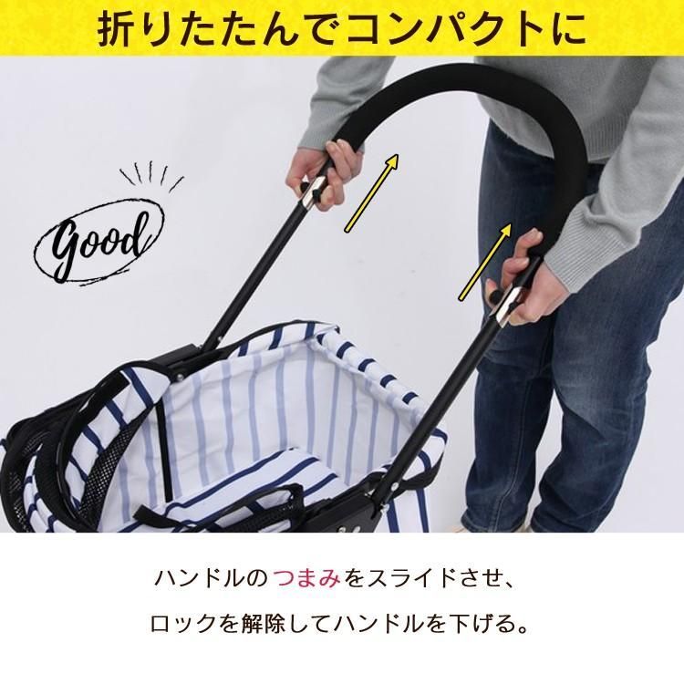 お散歩