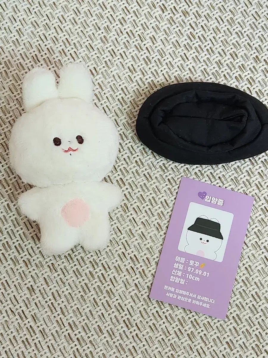 BTS ジョングク グク マスター ぬいぐるみ 20cm 10cm うさぎ