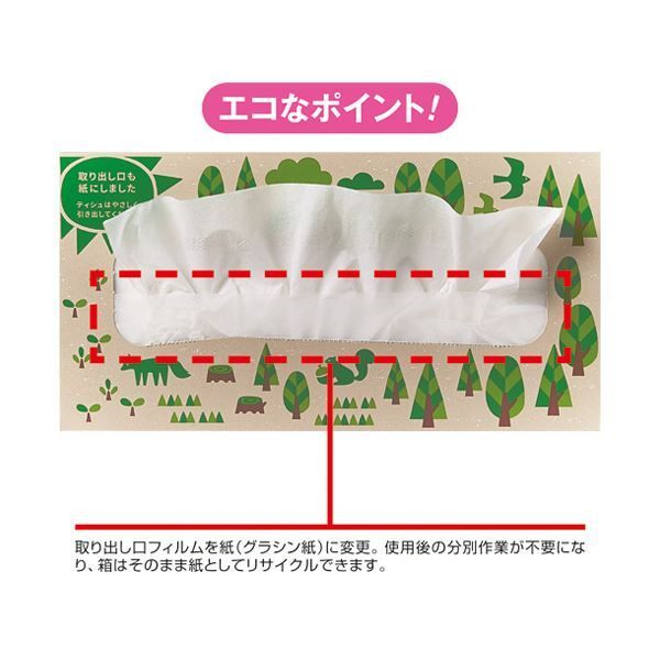 まとめ 王子ネピア ネピア ネピeco ティシュ200組 箱 1セット 60箱 5箱×12パック ×3セット WWW_OLIVIERBERNSTEIN_COM