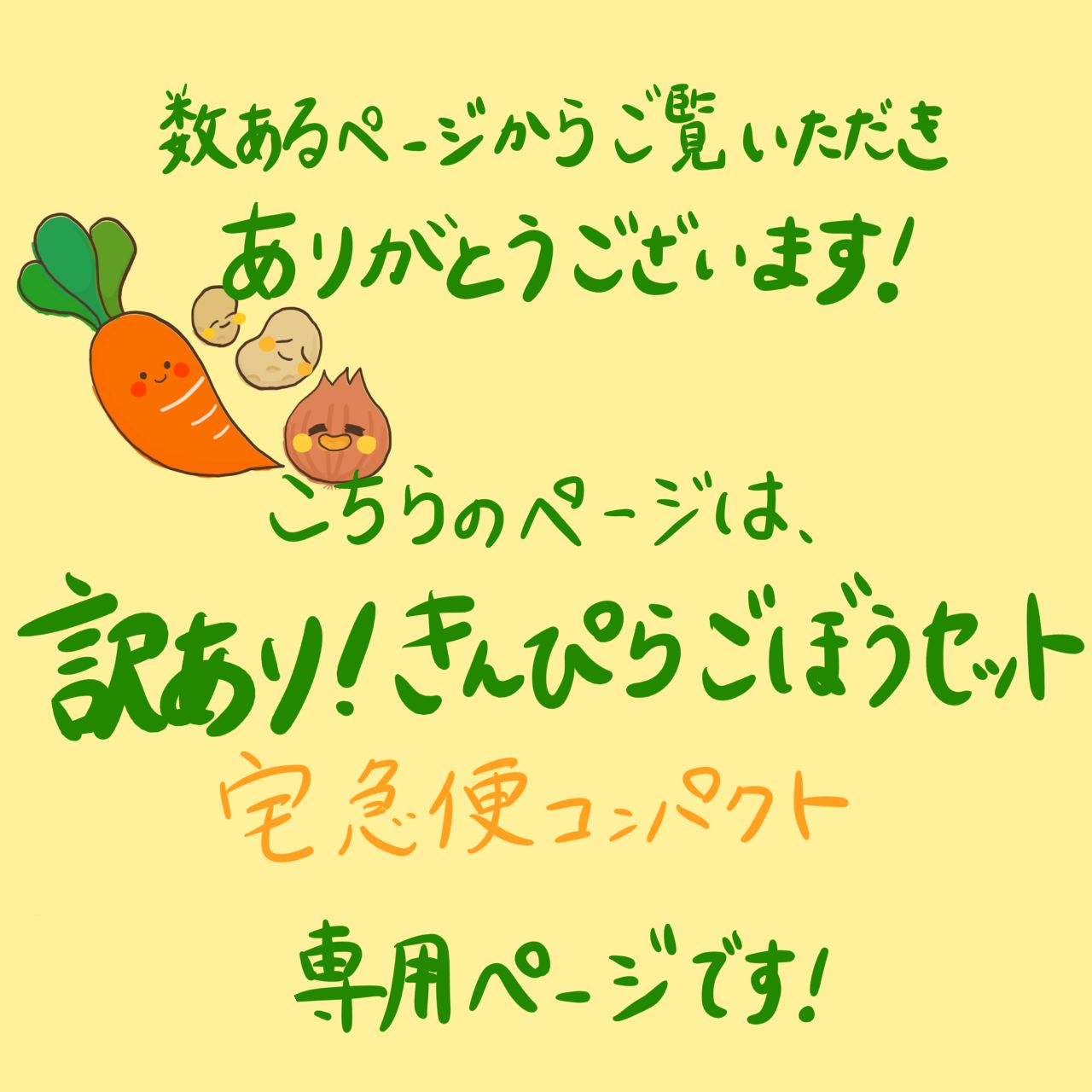 訳ありオーガニックきんぴらごぼうセット【宅急便コンパクト便