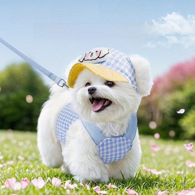 で洗える犬用ハーネスセット