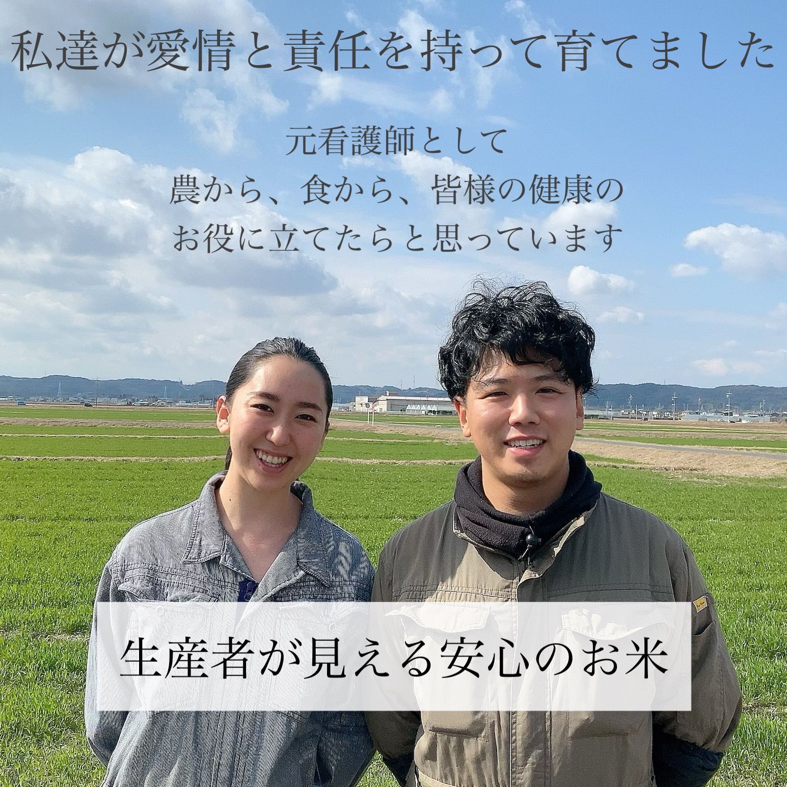 令和4年新米 自然栽培米 精米20kg 農薬不使用・肥料不使用 コシヒカリ