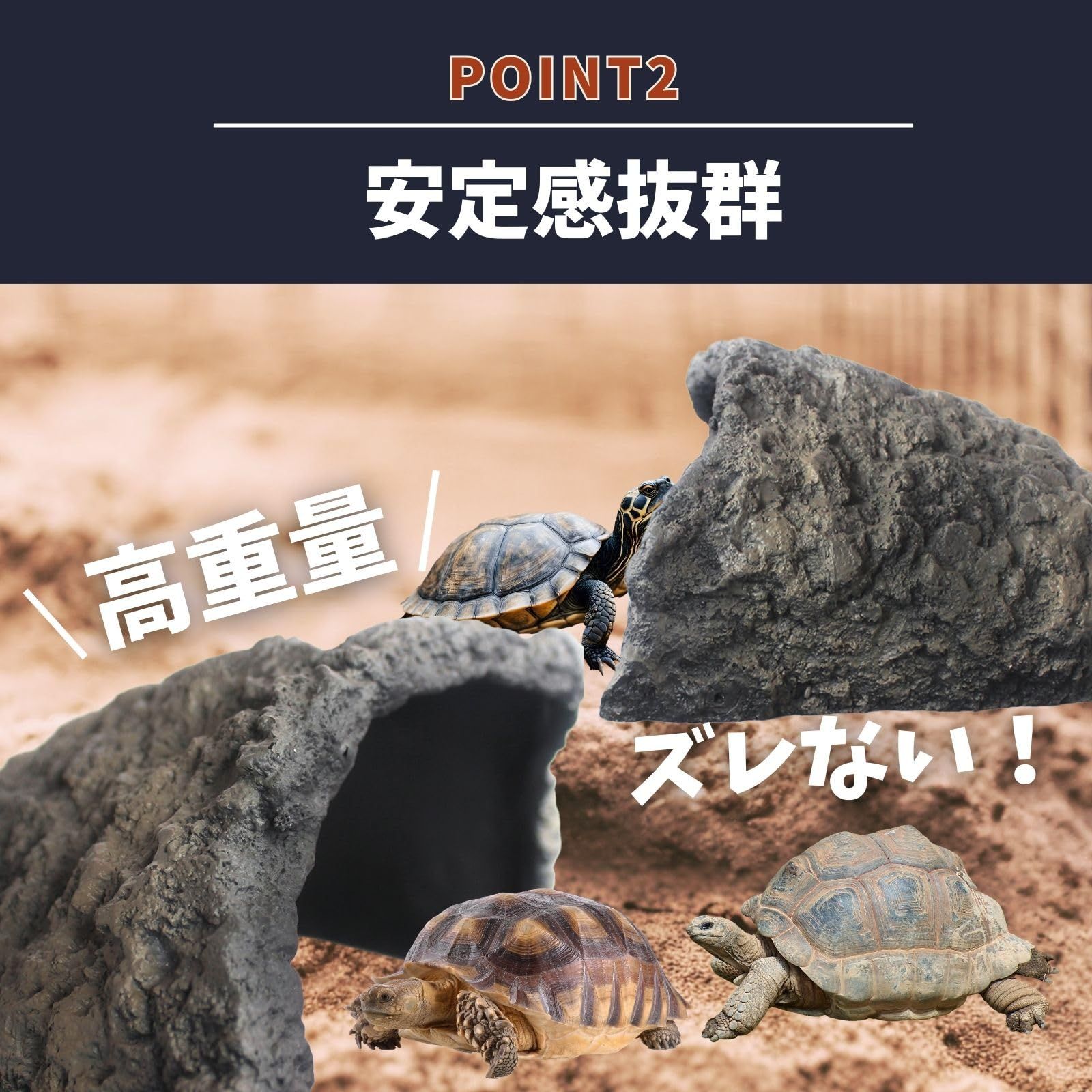 亀 ロックシェルター