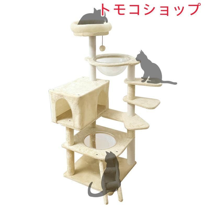 シニア猫 太った猫に特別設計