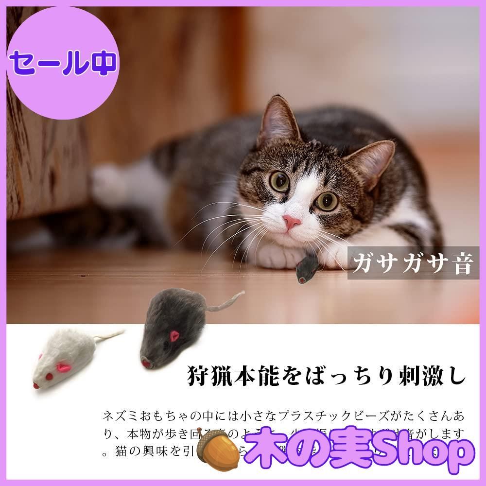 ラバー 貼り付け  ねずみとねこ ラバー 貼り付け ねずみとねこ 0711548.jpg
