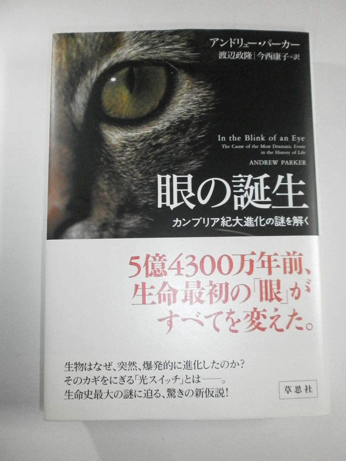 眼の誕生――カンブリア紀大進化の謎を解く
